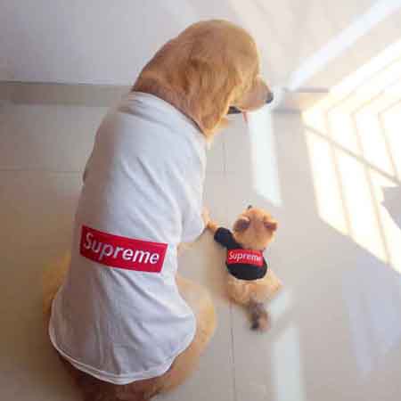 supreme 犬洋服 レッド×ホワイト