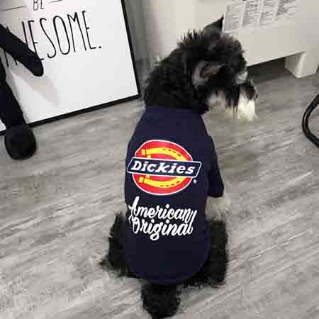 ディッキーズ Dickies 犬服 Tシャツ 夏秋 ドッグウェア ディッキーズ ボックスロゴtシャツ 小型犬