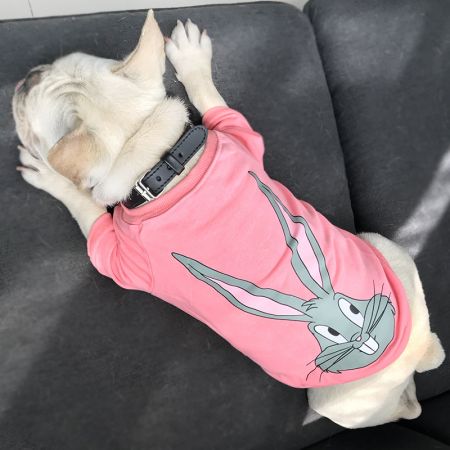 ウサギ 犬服 プルオーバーパーカー