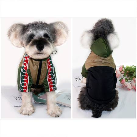 グッチ 犬の厚綿服 防寒